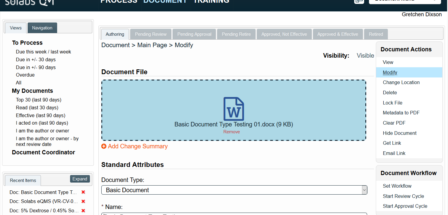 what-is-the-basic-document-type-and-how-should-it-be-used-solabs